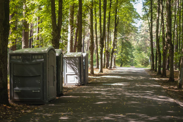 Portable Toilet Options We Offer in The Plains, OH